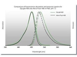 Rabbit anti-Mouse IgG3 Heavy Chain Secondary Antibody, DyLight 488, Novus Biologicals™